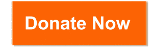 Donate-Now-button-Copy